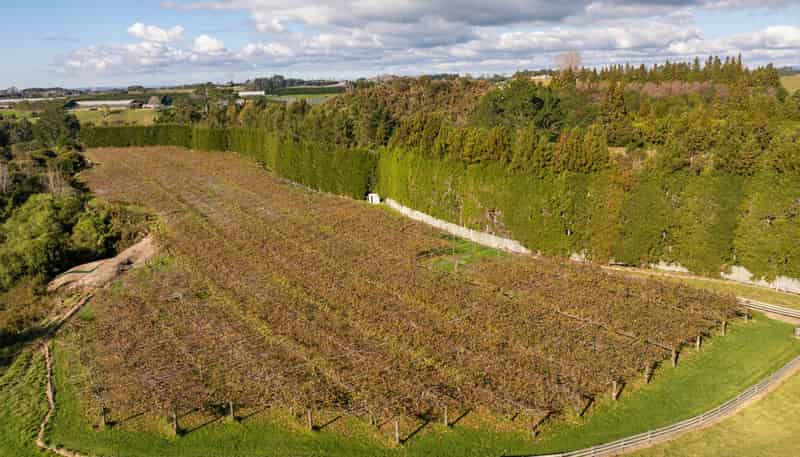 193 Maungarangi Road, Paengaroa