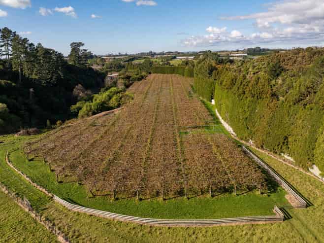 193 Maungarangi Road, Paengaroa