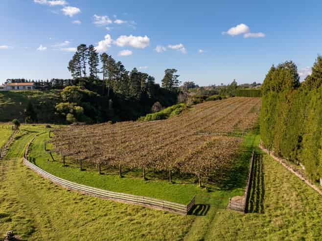 193 Maungarangi Road, Paengaroa