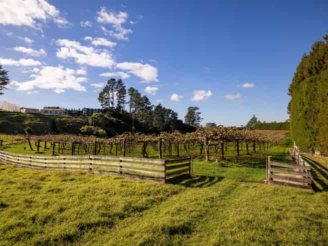 193 Maungarangi Road, Paengaroa