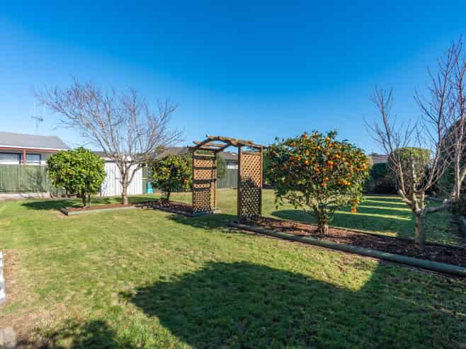 6 Bartholomew Drive, Nawton