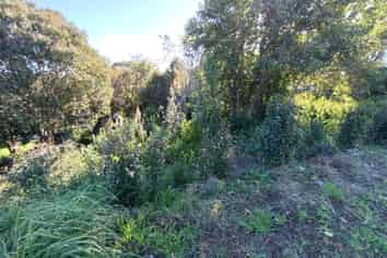 418 Don Buck Road, Massey