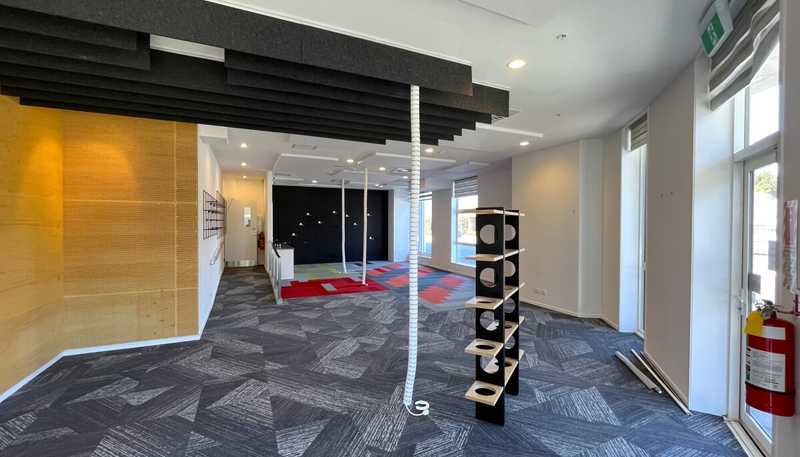 246 Khyber Pass Road, Newmarket