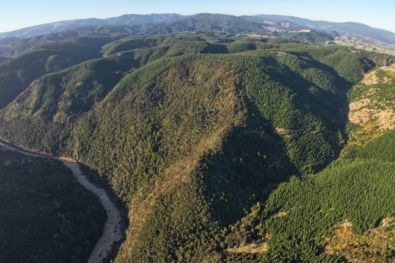 Taieri Forestry and Hunting Block – pohled 5