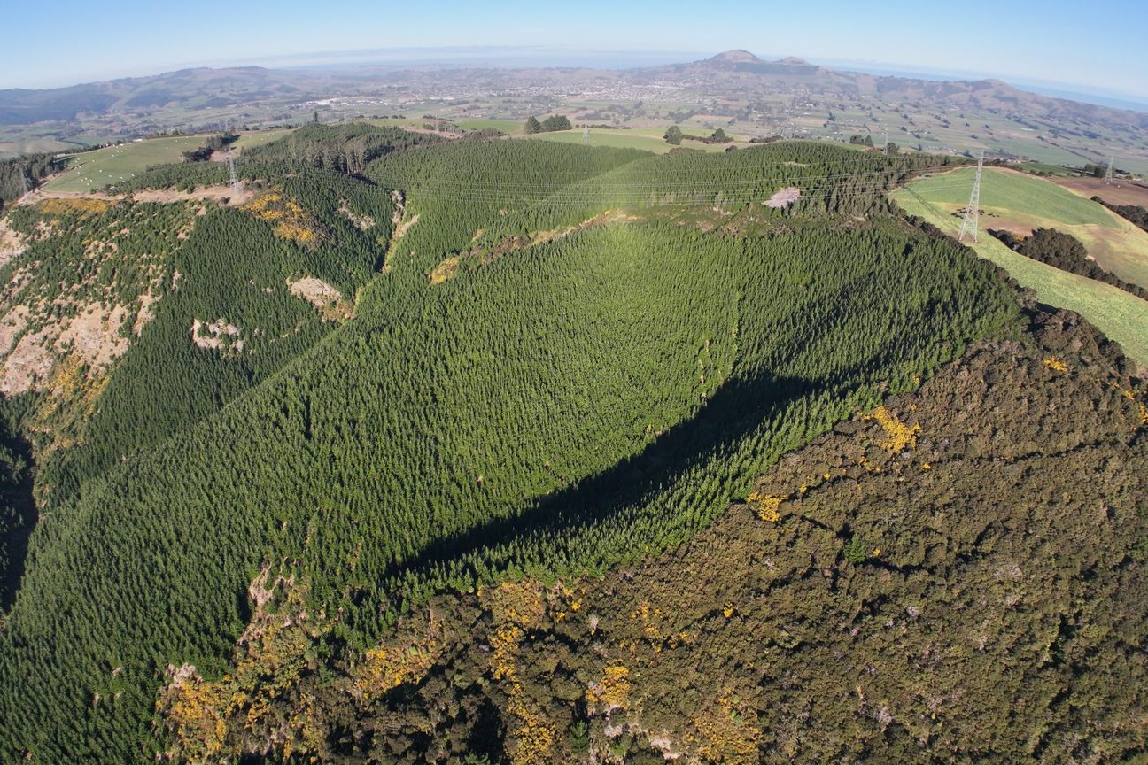 Taieri Forestry and Hunting Block – pohled 4