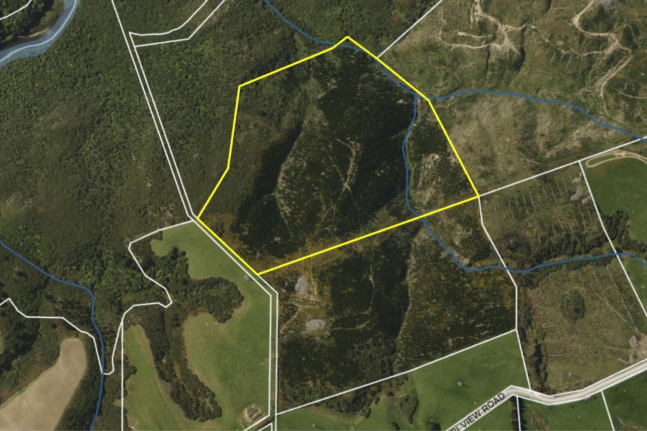 Taieri Forestry and Hunting Block – další