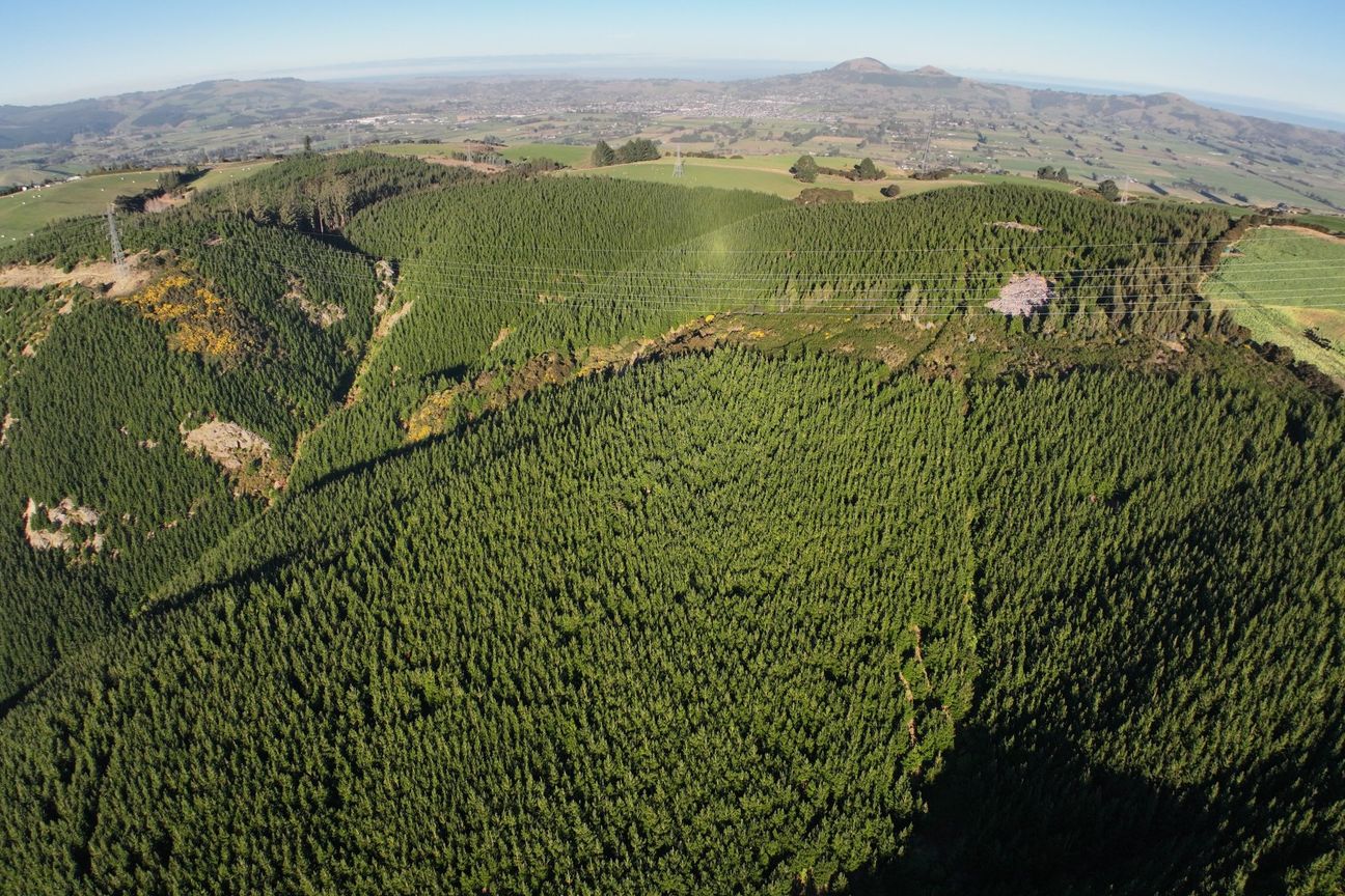 Taieri Forestry and Hunting Block – pohled 6