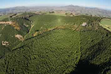 192 Taieri View Road, North Taieri