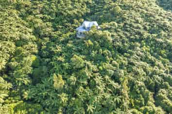 81 Viewmont Drive, Harbour View