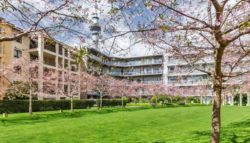 2E/16 Market Place, Auckland Central
