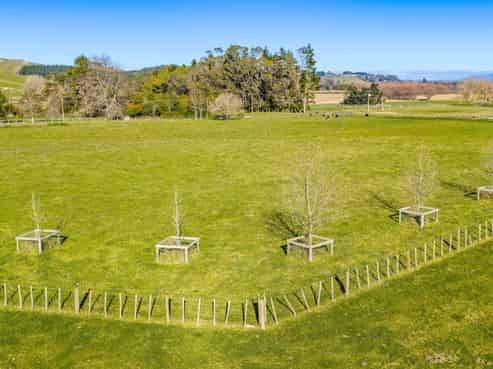 Lot 1 & 2,, 221 Tapairu Road, Waipawa