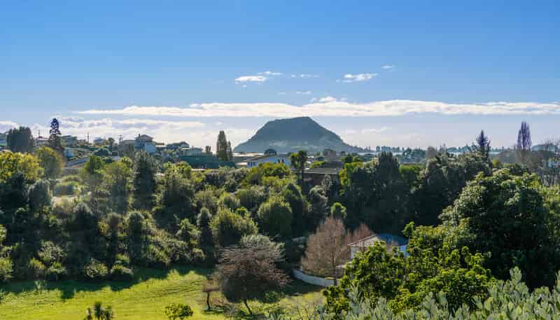 48 Hillcrest Road, Otumoetai