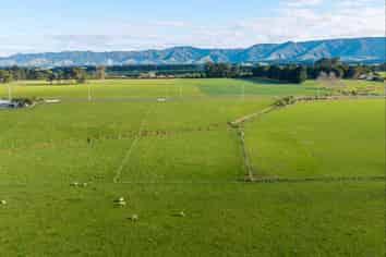 Lot 3, 326 Laws Road, Dannevirke