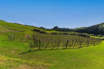 Lot 1, 4,  Mahinepua Road, Kaeo