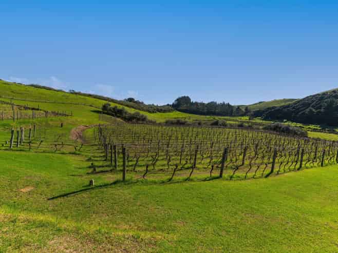 Lot 1, 4,  Mahinepua Road, Kaeo
