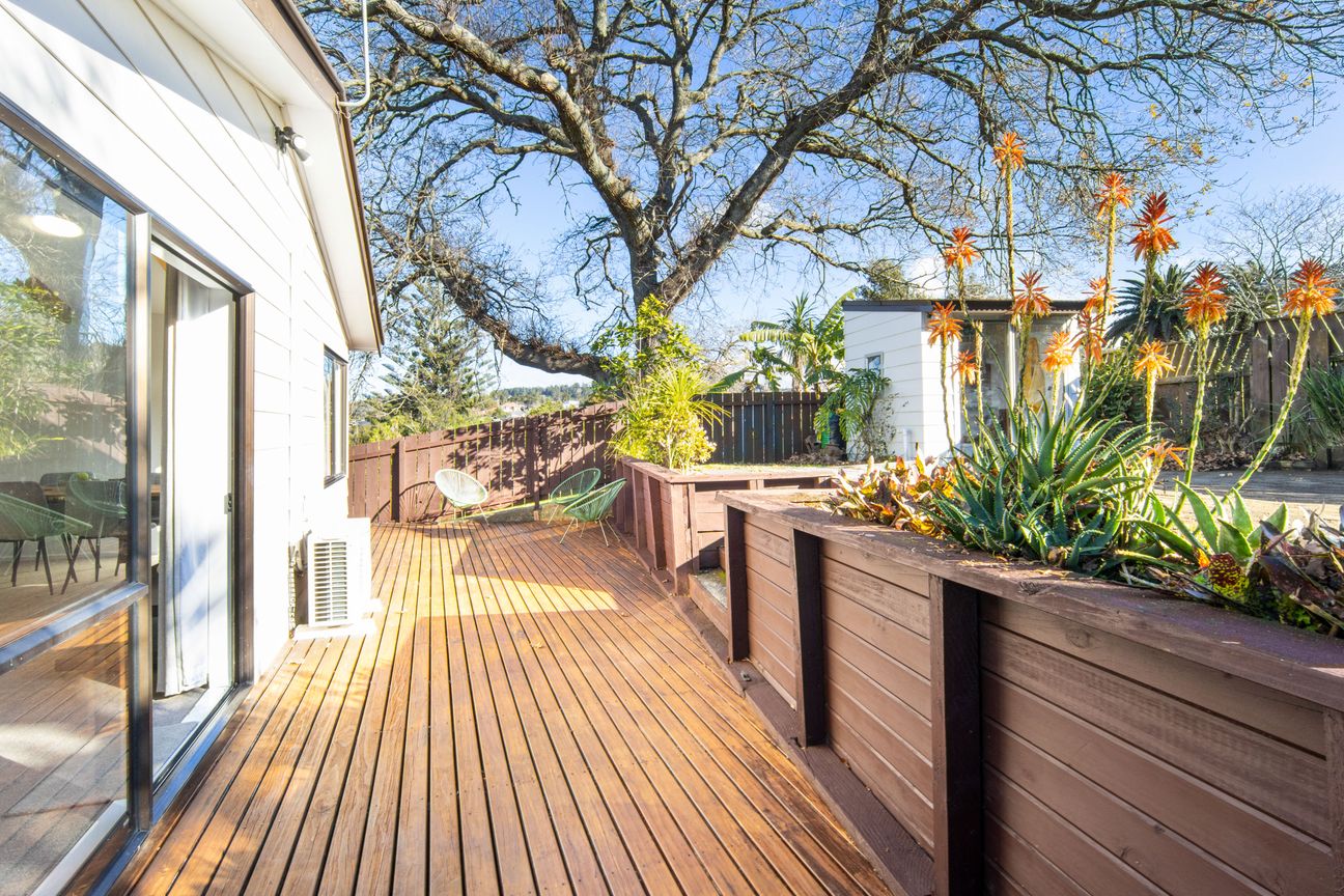 Character, Sunshine & Space - Welcome to Titirangi - Widok 3