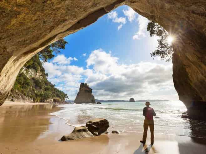 NZ Tours Business, Global Reach, Fully Relocatable