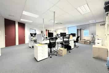 Light Filled Rosedale Office | 186 m2