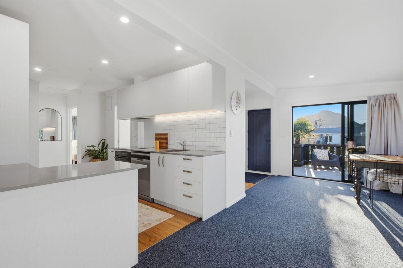 A Home and Income and Mount Lifestyle You'll Love - Vista 3