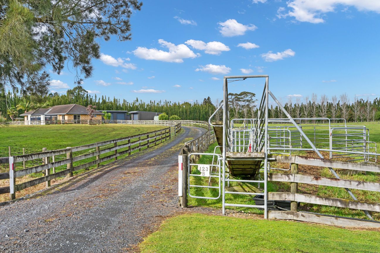 Picturesque Lifestyle Property with Land & Sheds - Widok 6