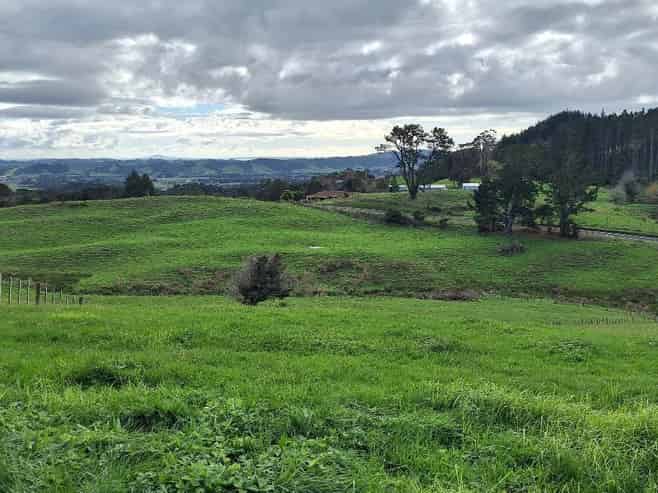 530 Creightons Road, Ardmore