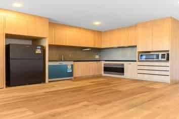 303/48 Clay works lane, New Lynn