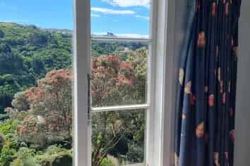 Wellington - Address withheld
