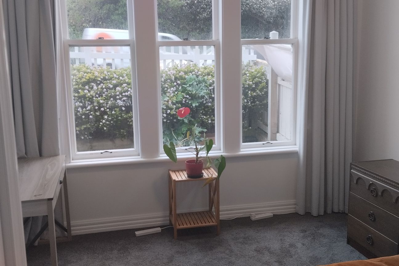 Sunny 3 bedroom house in central Berhampore - Ansicht 6