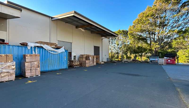 59 Rimu Street, Strandon