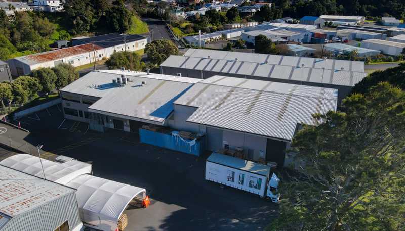 59 Rimu Street, Strandon