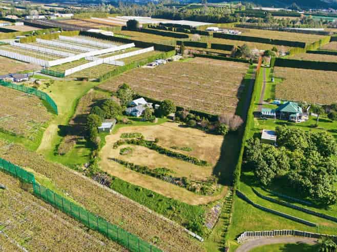 591 No 3 Road, Te Puke