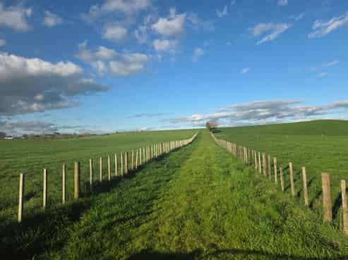 99 Old School Road, Ngahinapouri