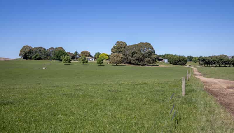 270 Downs Road, Cheviot