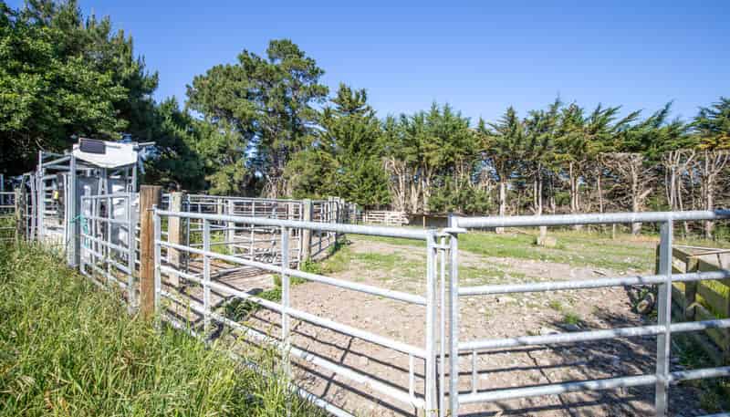 270 Downs Road, Cheviot