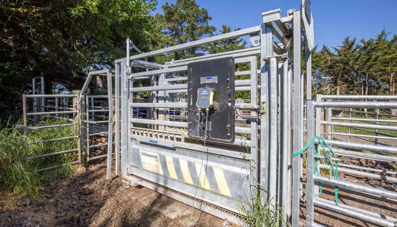 270 Downs Road, Cheviot