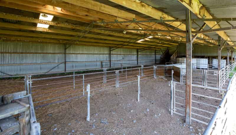 270 Downs Road, Cheviot