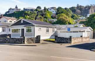 203 Carlyle Street, Napier South