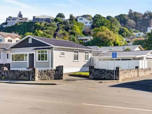 203 Carlyle Street, Napier South