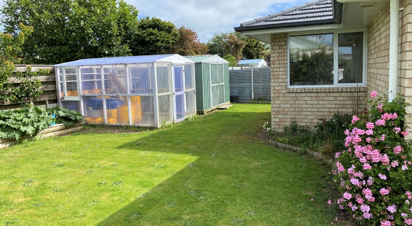 158A Argyle Street Hawera South Taranaki For Rent Realestate Co Nz 