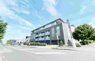 Premium Office/Showroom in Ellerslie