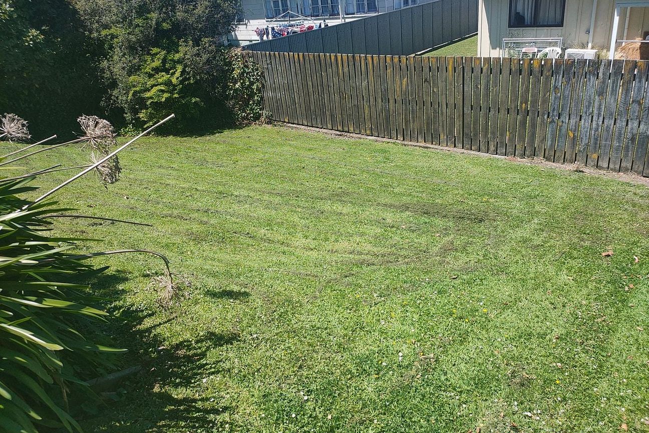 The Sunshine House – 616 Featherston St, Roslyn - Więcej