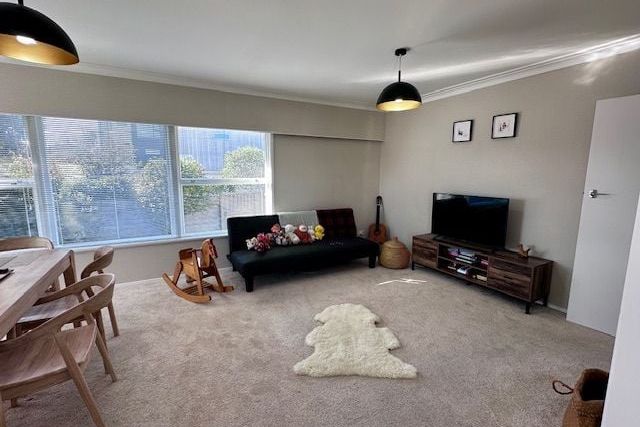 Elevated with Peace & Privacy in Takapuna! - Ansicht 3