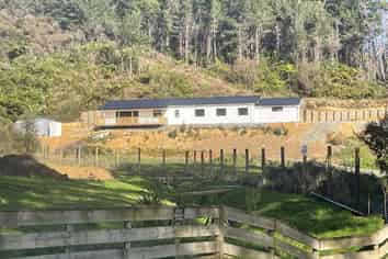Wellington - Address withheld