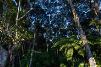 69 Otangaroa Road, Kaeo