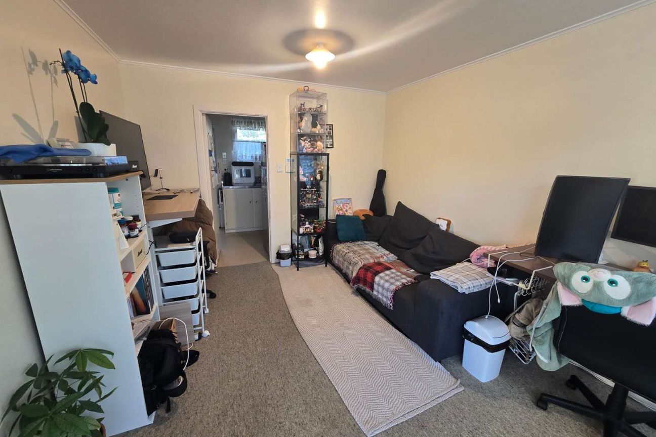 C / 9 Henley Road, Mt Eden, Auckland - Ansicht 4