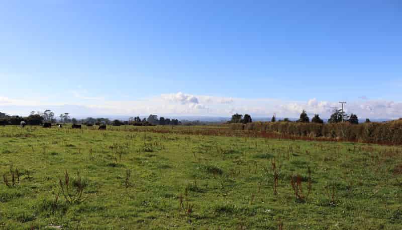 Above 544 Surrey Road, Tariki