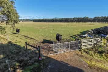 77 Leslies Road, Cust