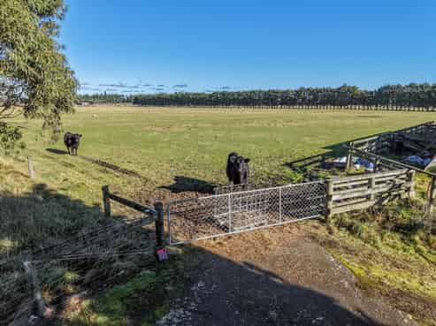 77 Leslies Road, Cust