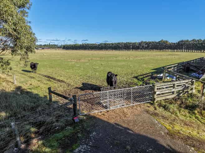 77 Leslies Road, Cust