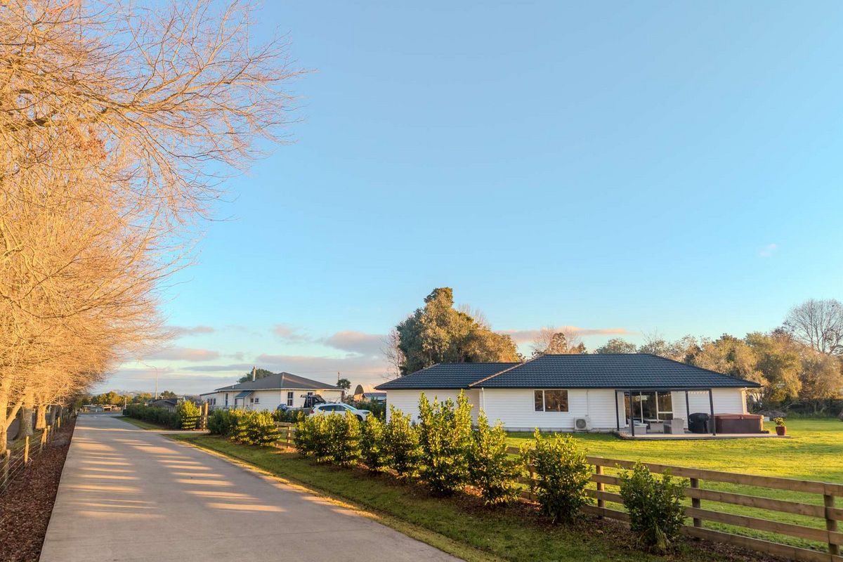 NEAR-NEW FAMILY LIVING - Mehr